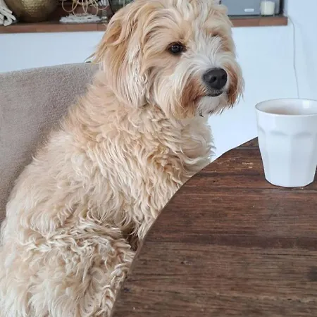 Проживання в сім'ї Casa Vive Tu Vida *