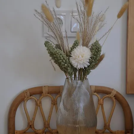 Casa Vive Tu Vida בית אירוח *