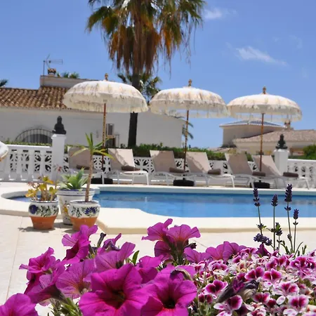 Casa Vive Tu Vida Homestay