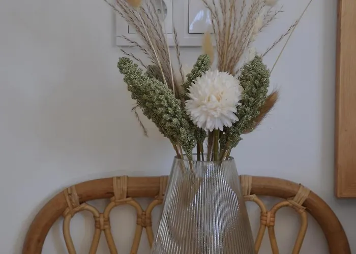 Casa Vive Tu Vida Homestay *