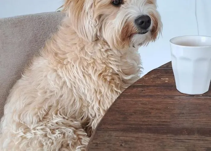 Homestay Casa Vive Tu Vida *